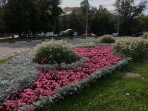 Дмитрий Кайгородов, Дмитрий Алексеевич Кайгородов, Дмитрий Кайгородов Химки, Именные скверы